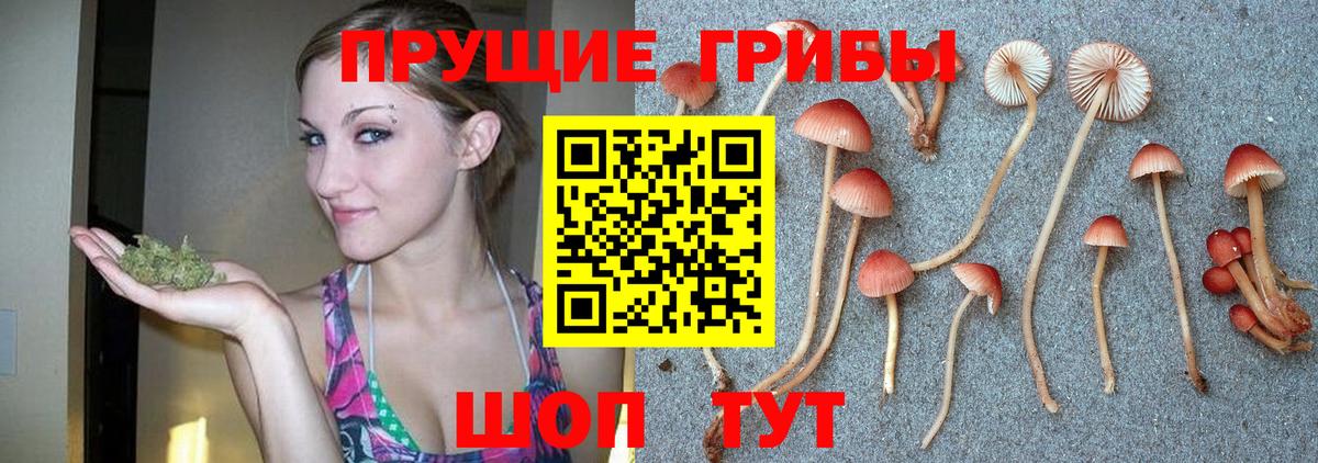 Псилоцибиновые грибы MAGIC MUSHROOMS  Вход с VPN  Зеленогорск 